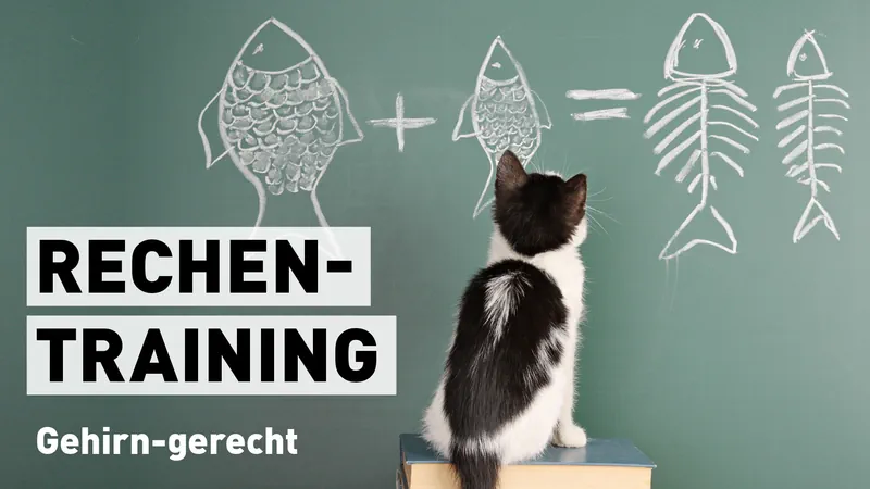 Rechentraining Gehirn-gerecht: Wie man die vier Grundrechenarten effektiv, leicht und mit Spaß trainieren kann Streaming